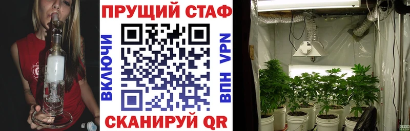 Купить закладку Вихоревка Галлюциногенные грибы  Амфетамин  Меф  Марихуана  Кокаин  СОЛЬ  Гашиш 