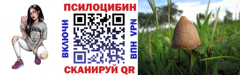 как найти   Вихоревка  Псилоцибиновые грибы мухоморы 